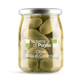 Olives Bella Cerignola
