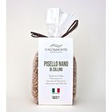 Petit Pois nain Zollino