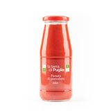 Purée de tomates sucrées Fiaschetto
